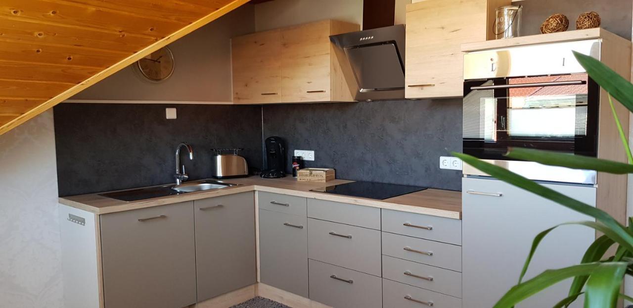 Appartment Sonnenblick Dielheim Exteriér fotografie